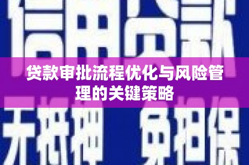 保定贷款审批流程优化与风险管理的关键策略