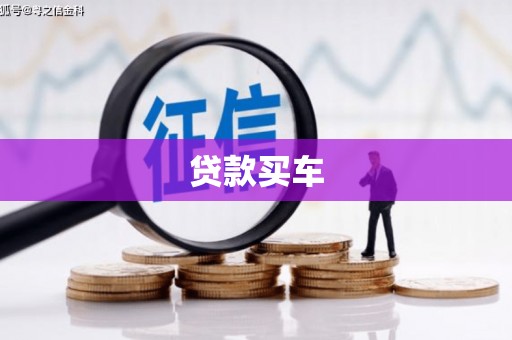 保定贷款买车