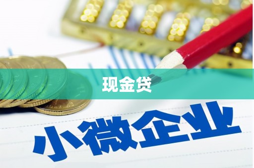 保定现金贷