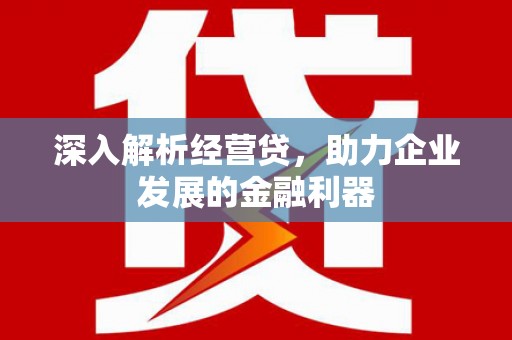 保定深入解析经营贷，助力企业发展的金融利器