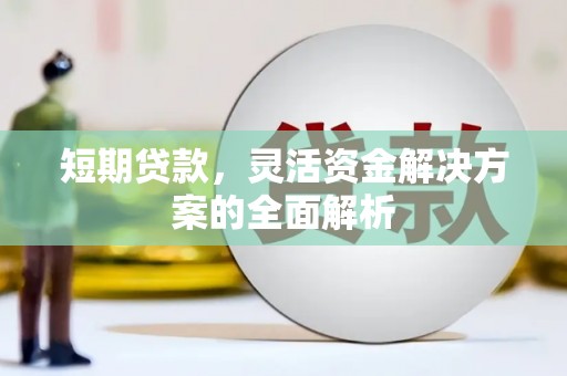 保定短期贷款，灵活资金解决方案的全面解析