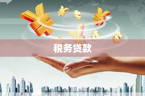 保定税务贷款