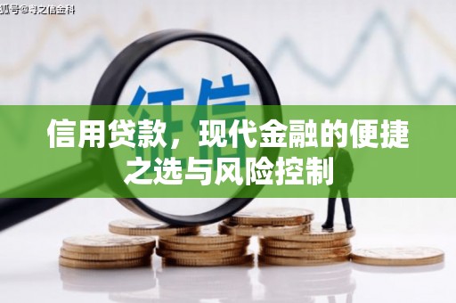 保定信用贷款，现代金融的便捷之选与风险控制