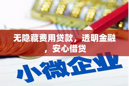 保定无隐藏费用贷款，透明金融，安心借贷