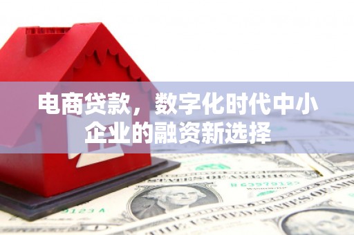 保定电商贷款，数字化时代中小企业的融资新选择