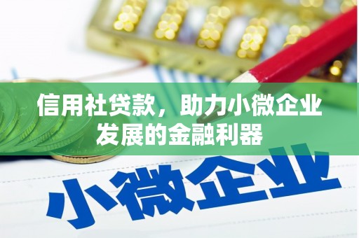 保定信用社贷款，助力小微企业发展的金融利器
