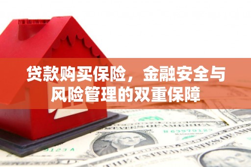 保定贷款购买保险，金融安全与风险管理的双重保障