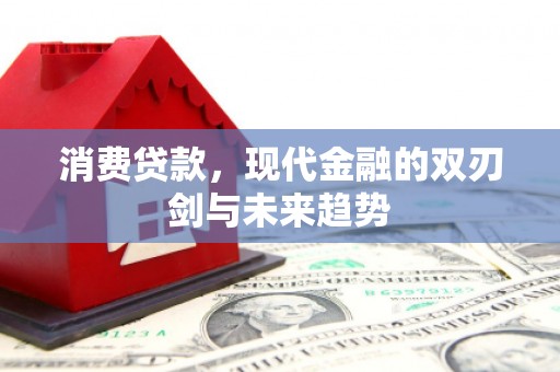 保定消费贷款，现代金融的双刃剑与未来趋势