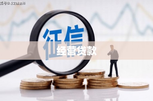 保定经营贷款