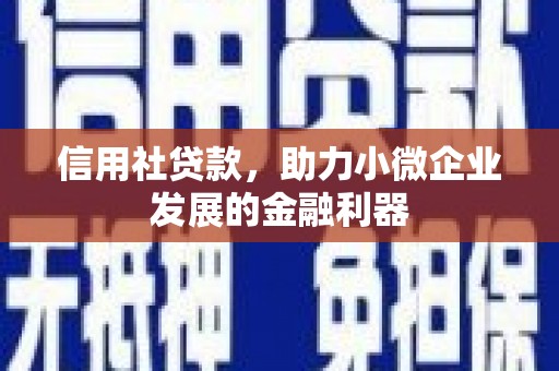 保定信用社贷款，助力小微企业发展的金融利器