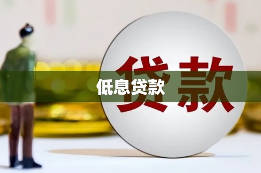 保定低息贷款