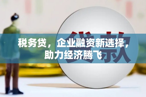 保定税务贷，企业融资新选择，助力经济腾飞