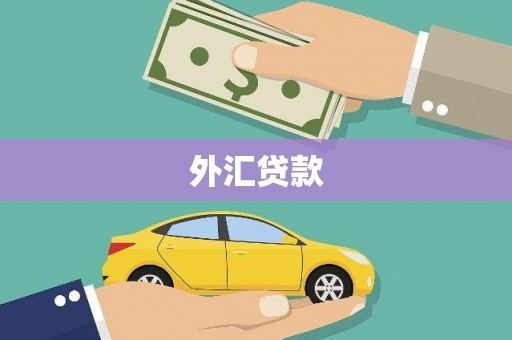 保定外汇贷款