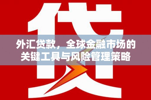 保定外汇贷款，全球金融市场的关键工具与风险管理策略