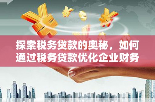 保定探索税务贷款的奥秘，如何通过税务贷款优化企业财务