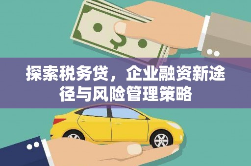 保定探索税务贷，企业融资新途径与风险管理策略