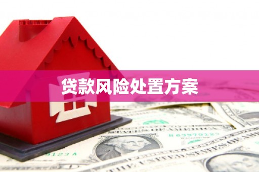 保定贷款风险处置方案
