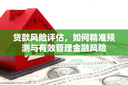 保定贷款风险评估，如何精准预测与有效管理金融风险