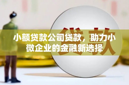 保定小额贷款公司贷款，助力小微企业的金融新选择