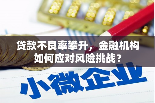 保定贷款不良率攀升，金融机构如何应对风险挑战？