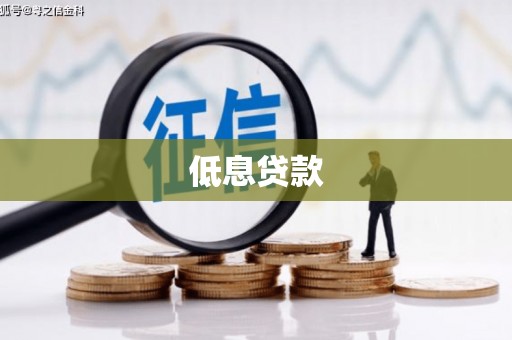 保定低息贷款
