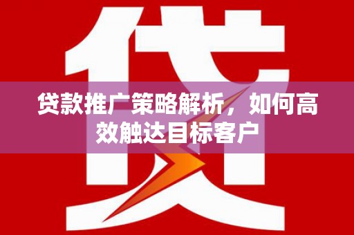 保定贷款推广策略解析，如何高效触达目标客户