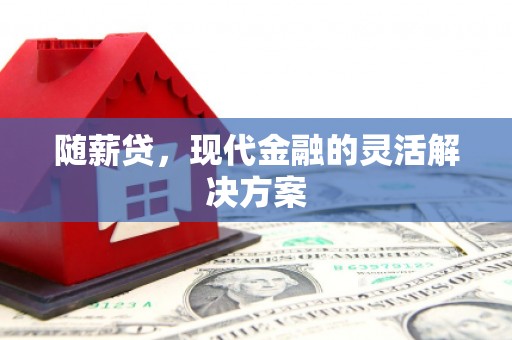 保定随薪贷，现代金融的灵活解决方案
