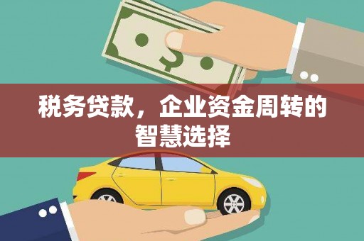 保定税务贷款，企业资金周转的智慧选择