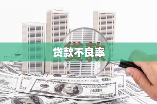 保定贷款不良率