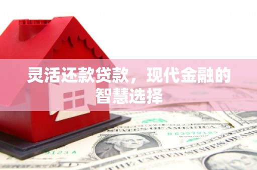 保定灵活还款贷款，现代金融的智慧选择