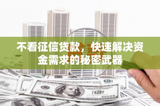 保定不看征信贷款，快速解决资金需求的秘密武器