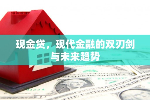 保定现金贷，现代金融的双刃剑与未来趋势