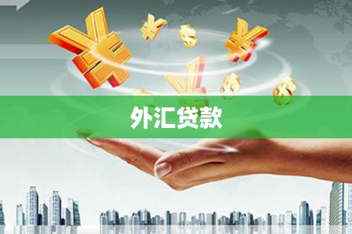 保定外汇贷款