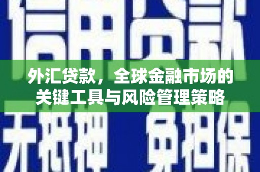保定外汇贷款，全球金融市场的关键工具与风险管理策略