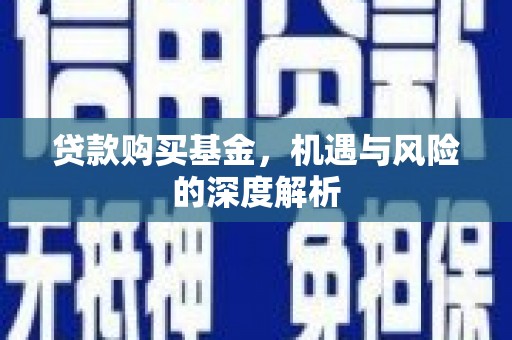 保定贷款购买基金，机遇与风险的深度解析