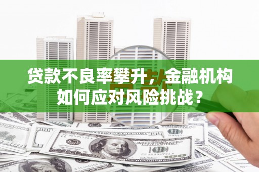 保定贷款不良率攀升，金融机构如何应对风险挑战？