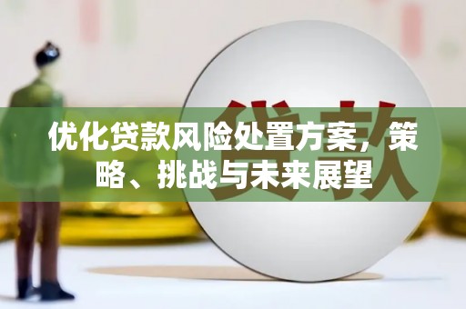 保定优化贷款风险处置方案，策略、挑战与未来展望