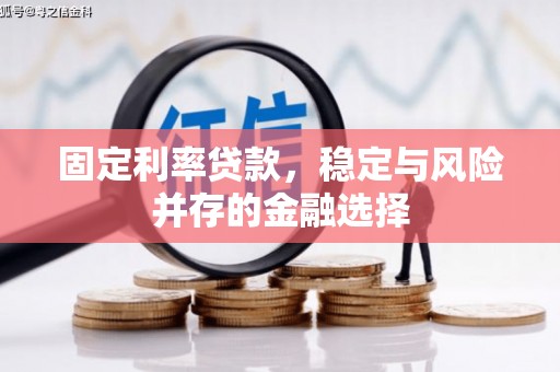 保定固定利率贷款，稳定与风险并存的金融选择