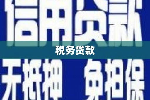 保定税务贷款