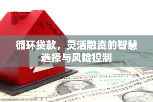 保定循环贷款，灵活融资的智慧选择与风险控制
