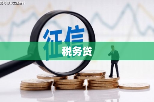 保定税务贷