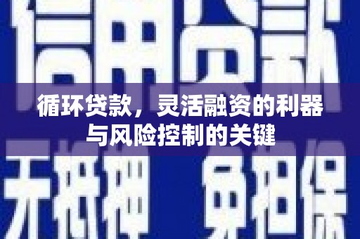 保定循环贷款，灵活融资的利器与风险控制的关键