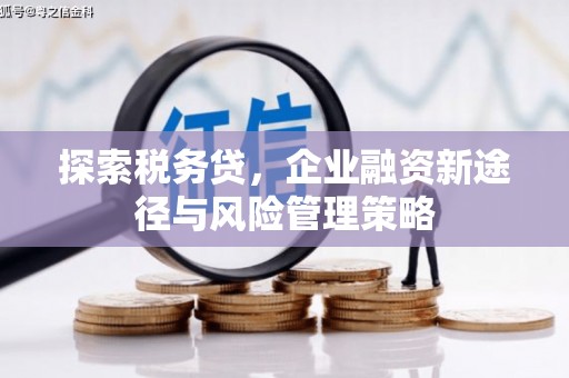 保定探索税务贷，企业融资新途径与风险管理策略