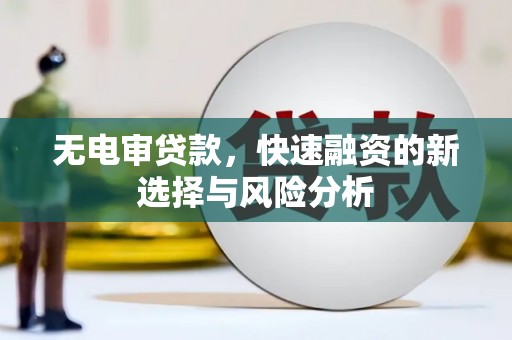 保定无电审贷款，快速融资的新选择与风险分析