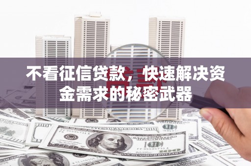 保定不看征信贷款，快速解决资金需求的秘密武器