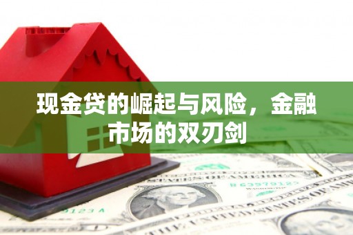 保定现金贷的崛起与风险，金融市场的双刃剑