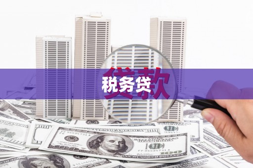 保定税务贷