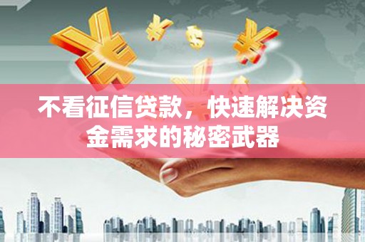 保定不看征信贷款，快速解决资金需求的秘密武器