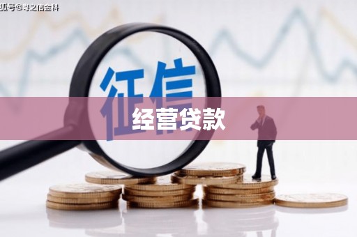 保定经营贷款