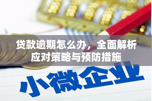 保定贷款逾期怎么办，全面解析应对策略与预防措施